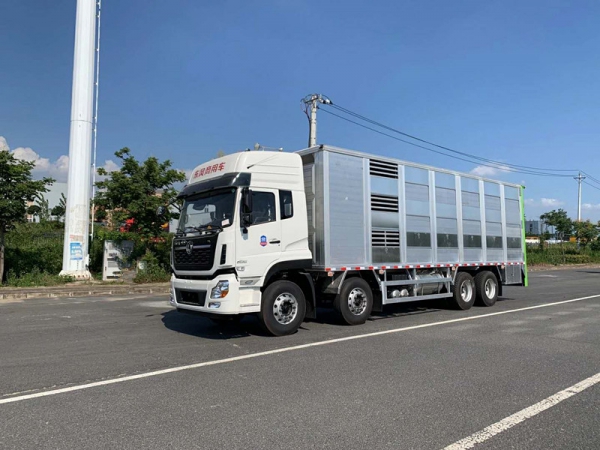 神綠SLV5310CCQD6畜禽運(yùn)輸車（9.6米）