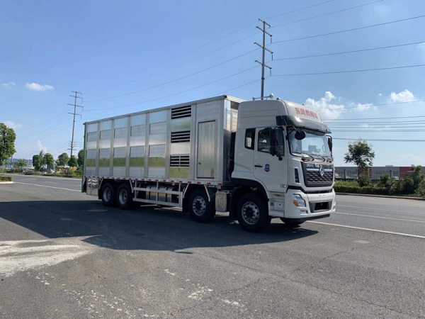 神綠SLV5310CCQD6畜禽運(yùn)輸車（9.6米）